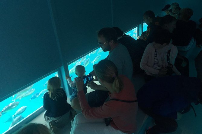 Catamaran in Cala Murtra With Super Underwater Vision - Natural Wonders of Cap De Creus