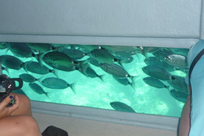 Catamaran in Cala Murtra With Super Underwater Vision - Customer Feedback and Ratings