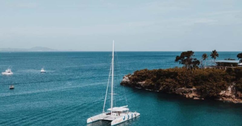 Catamaran in Sosúa: Snorkeling + Food + Open Bar on the Sea - Key Points