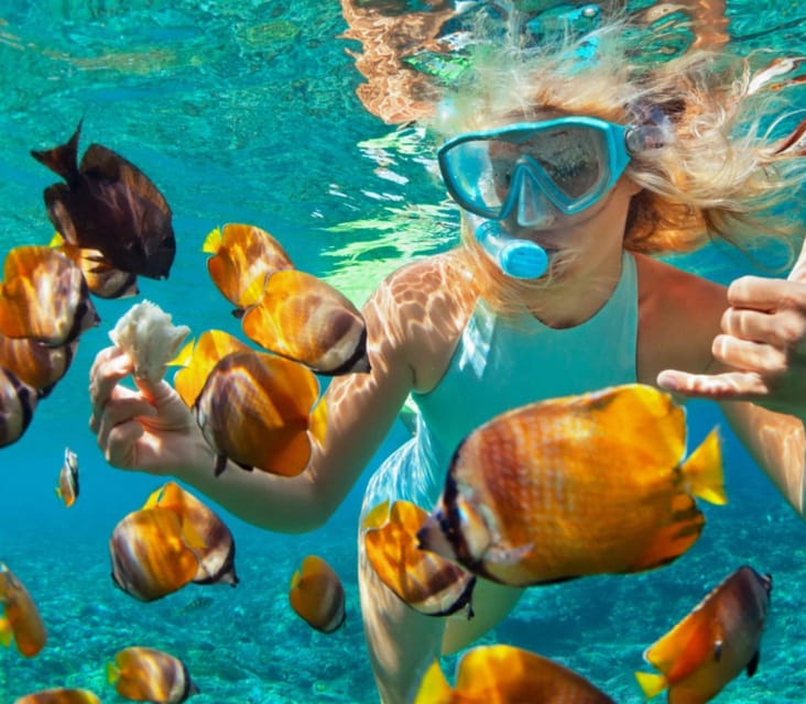 Catamaran in Sosúa: Snorkeling + Food + Open Bar on the Sea - Scenic and Relaxation Aspects