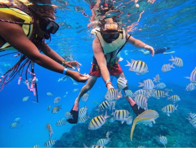 Catamaran in Sosúa: Snorkeling + Food + Open Bar on the Sea - Buffet Lunch on Board