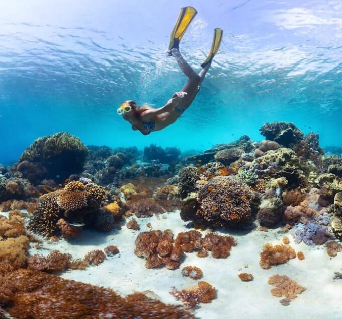 Catamaran in Sosúa: Snorkeling + Food + Open Bar on the Sea - Snorkeling Opportunities