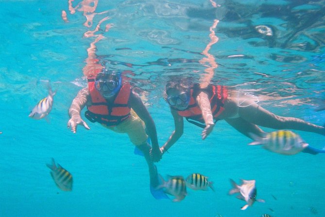 Catamaran Isla Mujeres With Transportation From Riviera Maya. - Health Considerations