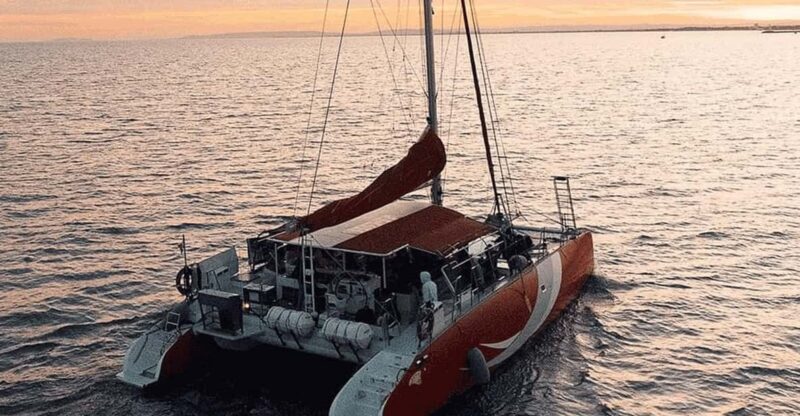 Catamaran Lucile 2 | Le Barcares Sunset Experience - Experience Highlights