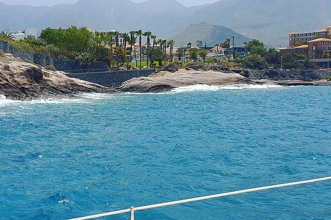 CATAMARAN OCEAN CRUISE TOUR, Food & Drinks Included! - Tour Overview