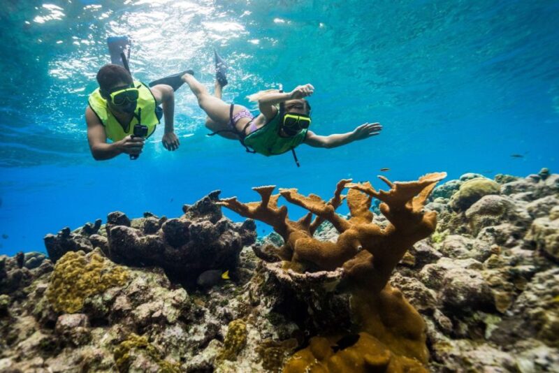 Catamaran Party Cruise and Snorkeling From Montego Bay - Transportation and Pickup Details