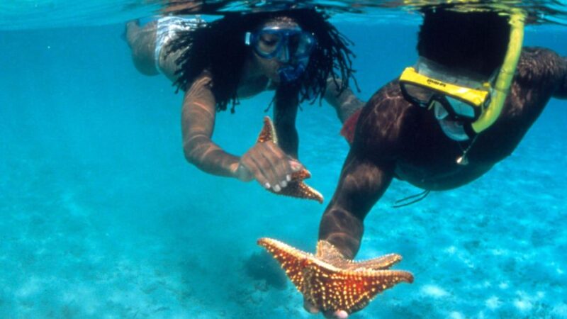 Catamaran Party Cruise and Snorkeling From Montego Bay - Included Equipment and Amenities