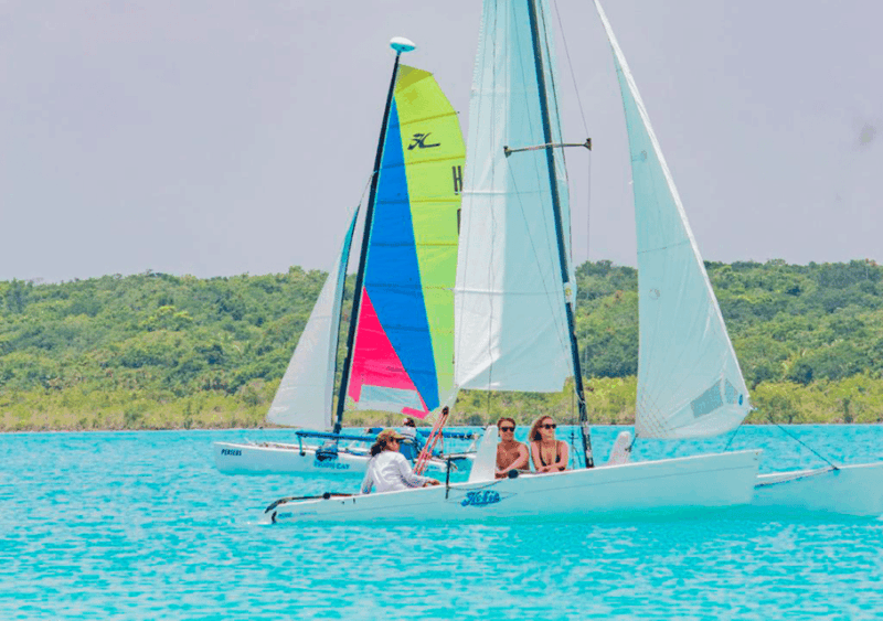 Catamaran Private Sailing Between Mangroves - Key Points