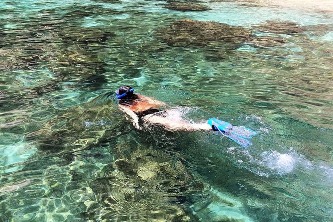 Catamaran Private Tour - Benagil & Marinha Beach - (28 PAX) - Swimming and Sunbathing