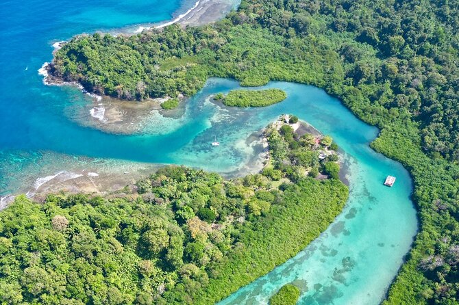 Catamaran Sailing Caribbean Beaches With Snorkelling and Lunch - Day Tour - Customer Feedback and Experience