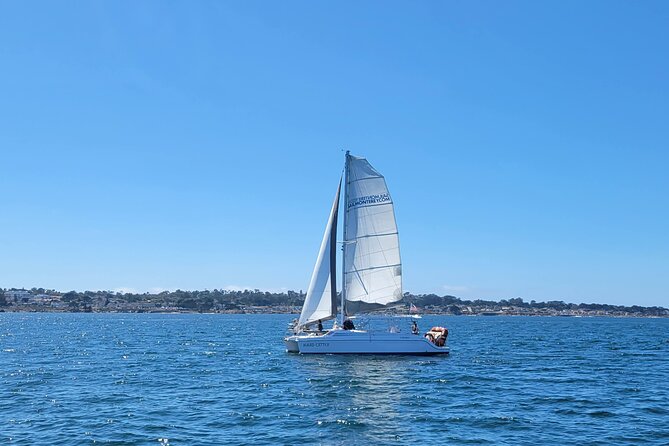 Catamaran Sailing Cruise in Monterey - Sailing Experience