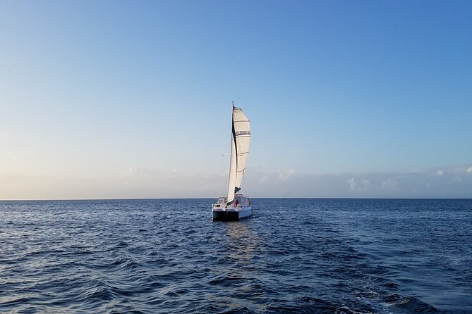 Catamaran Sailing Cruise in Monterey - Onboard Activities