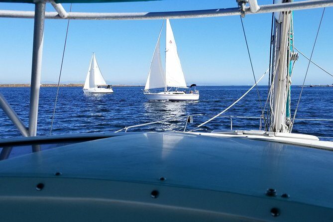 Catamaran Sailing Cruise on San Diego Bay for up to 6 Guests - The Sum Up: Is This the Right Choice for You?