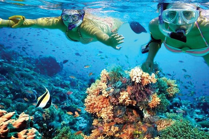 Catamaran Sailing to Isla Mujeres With Snorkeling, Lunch & Open Bar Included - Booking Information and Policies