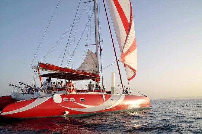 Catamaran Sailing Tour - Key Points