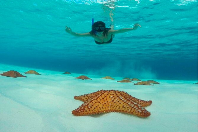Catamaran Snorkel to El Cielo and Tortugas Beach Club - Whats Included in the Tour