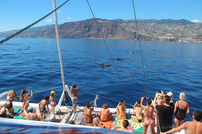 Catamaran Sunset Cruise From Funchal - Accessibility and Transportation