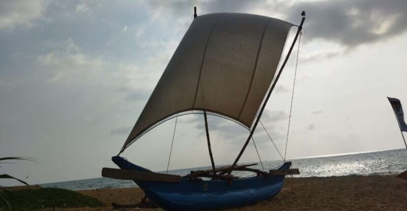 Catamaran Sunset Sailing in Mount Lavinia - Booking Information