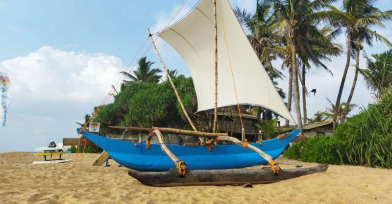 Catamaran Sunset Sailing in Trincomalee - Pricing and Reservations