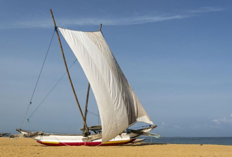 Catamaran Sunset Sailing in Trincomalee - Scenic Experience