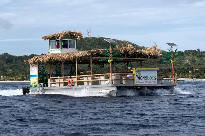 Catamaran Tiki Boat Sunset Snorkeling Dinner Cruise in Roatan - Key Points