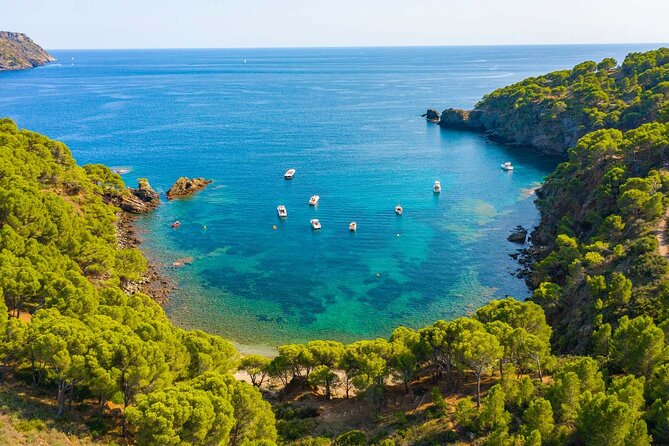 Catamaran to Cap Norfeu & Joncols With Super Submarine Vision - Submarine Underwater Experience