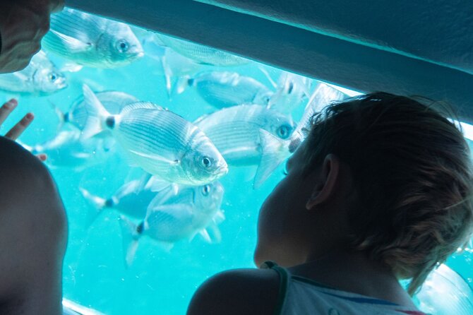 Catamaran to Cap Norfeu & Joncols With Super Submarine Vision - Meeting Location and Departure