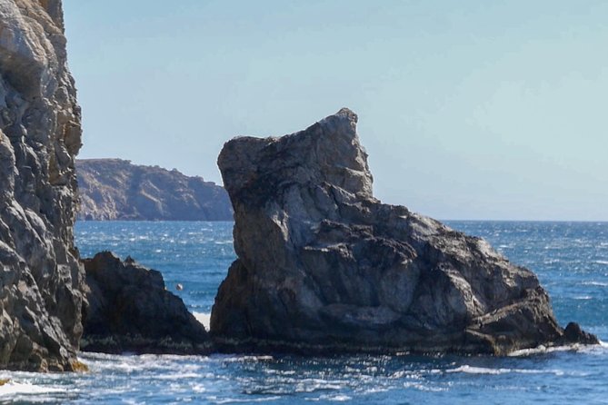 Catamaran to Cap Norfeu & Joncols With Super Submarine Vision - Customer Feedback and Pricing