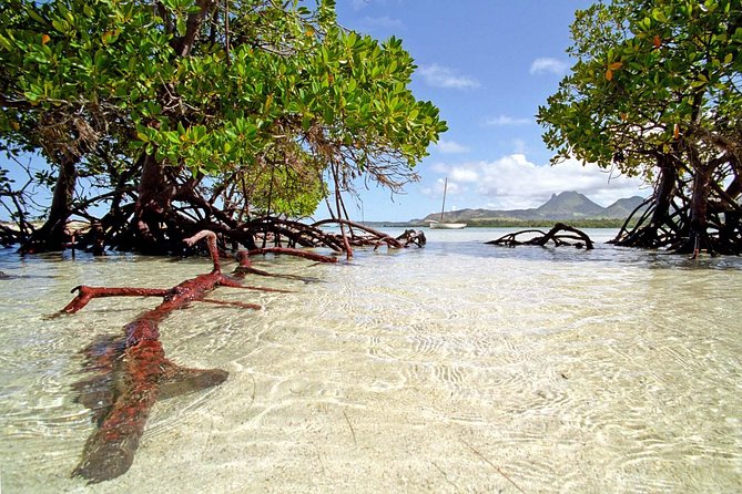 Catamaran to Ile Aux Cerf: Undersea Walk, Parasailing, Tube Riding, Lunch, GRSE - Lunch and Drinks