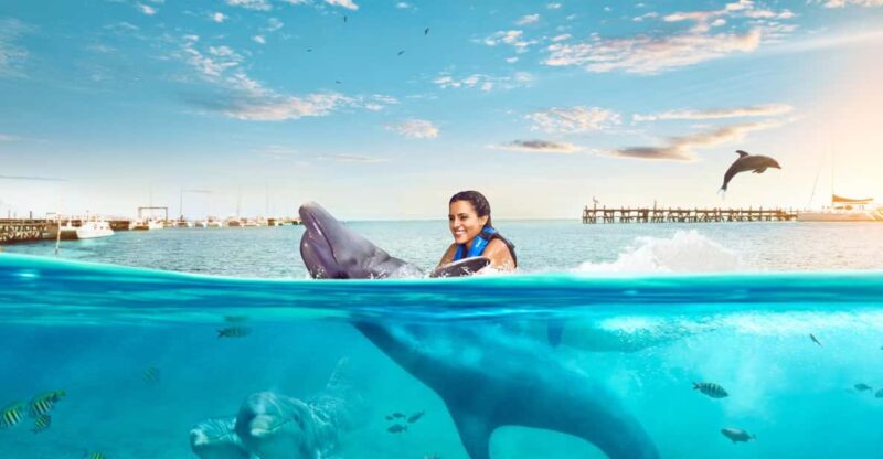 Catamaran to Isla Mujeres and Swim With Dolphins Adventure - Itinerary and Activities