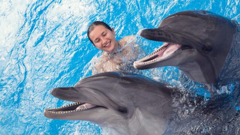 Catamaran to Isla Mujeres and Swim With Dolphins Adventure - Restrictions and Requirements