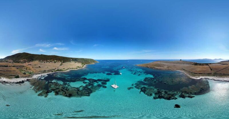 Catamaran Tour in the Asinara Island National Park - Key Points
