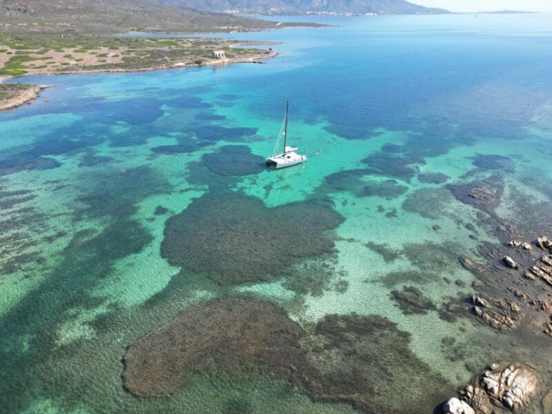 Catamaran Tour in the Asinara Island National Park - Duration and Capacity