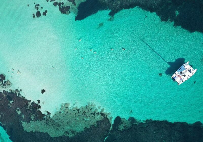 Catamaran Tour in the Asinara Island National Park - Activities and Itinerary