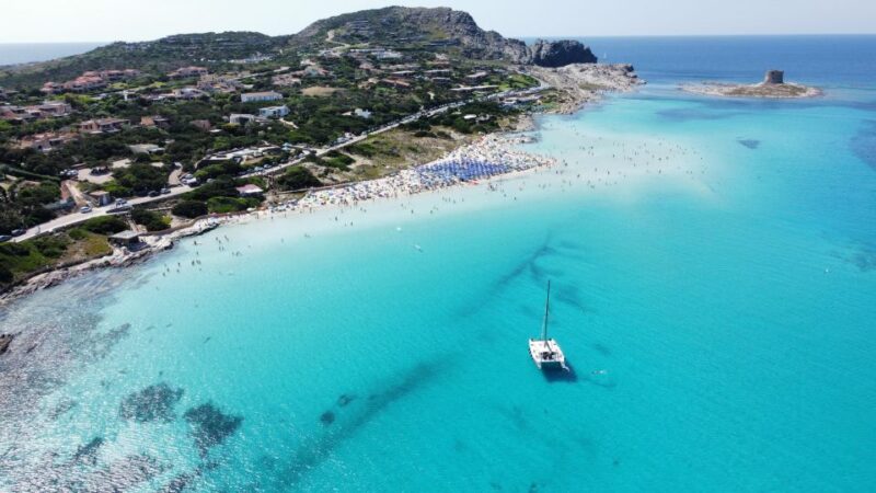 Catamaran Tour in the Asinara Island National Park - Dining Onboard