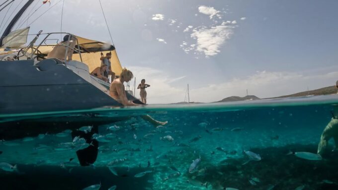 Catamaran Tour in the Asinara Island National Park - Cancellation Policy