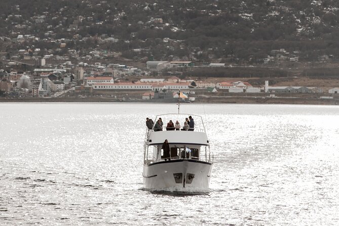 Catamaran Tour Through the Beagle Channel and Penguins in Isla Martillo - Overview of the Tour