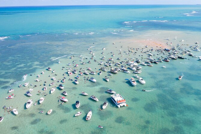 Catamaran Trip to Areia Vermelha Island With Transfer - Tour Operator Information