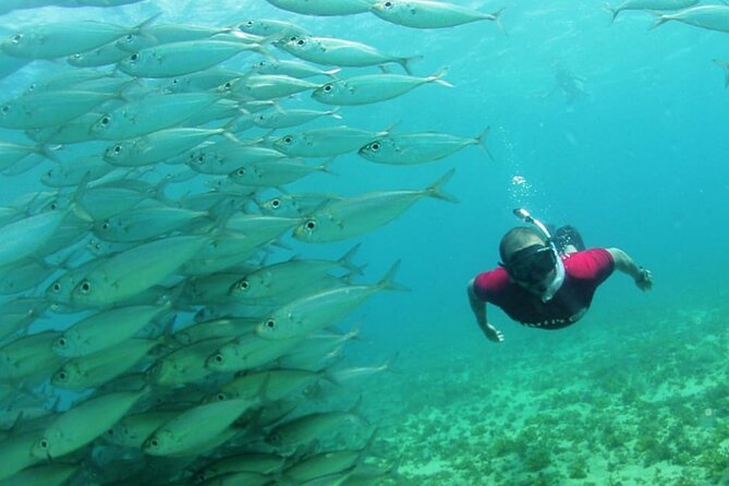 Catamaran Trip With Meal (Eventide Vip) - Catamaran Ride Experience