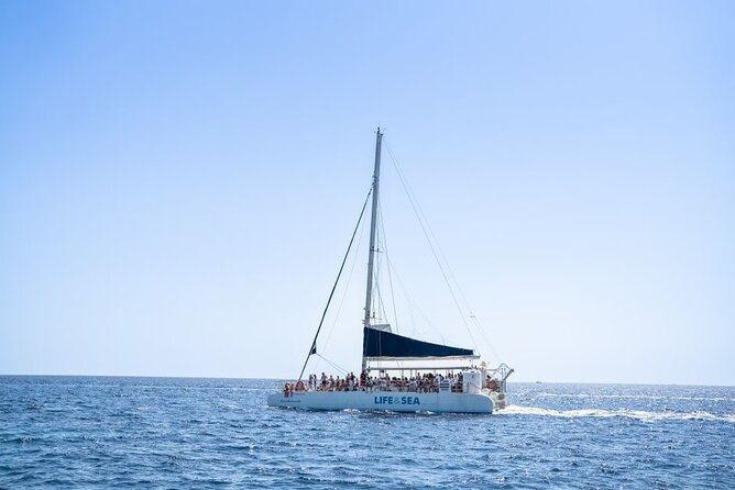 Catamaran With BBQ in the Bay of Palma - Snorkeling and Water Activities