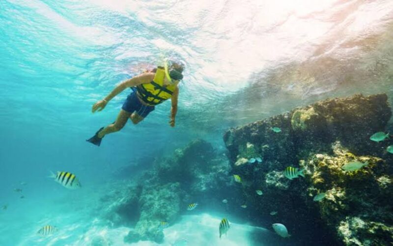 Catamaran With Open Bar & Food Included - Snorkeling at Coral Reef Park