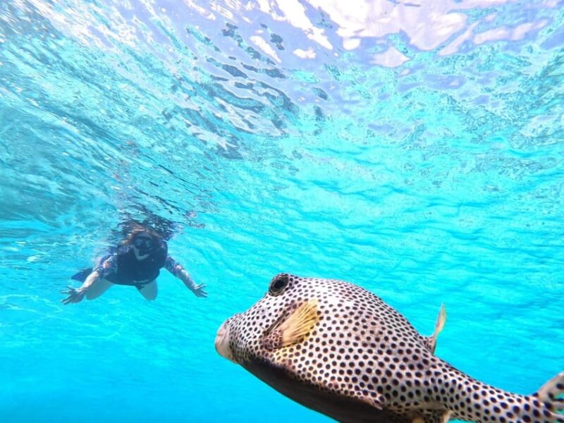 Catamaran,El Cielo, Palancar Reef and Colombia Reef - Important Information