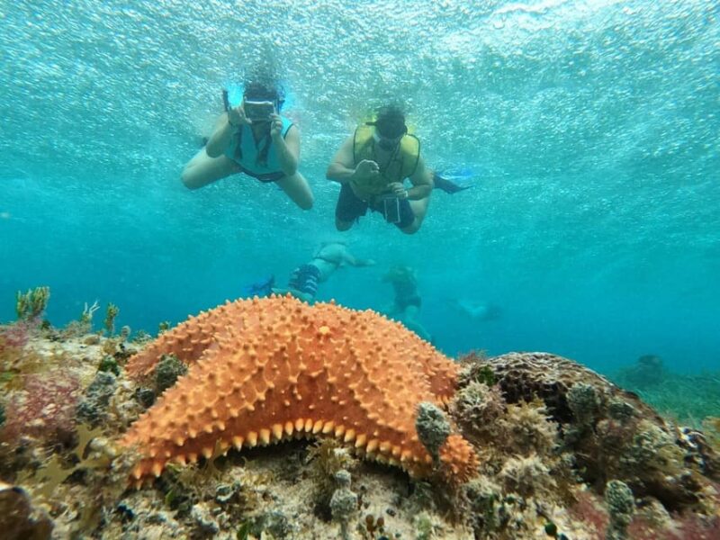 Catamaran,El Cielo, Palancar Reef and Colombia Reef - Navigating Turquoise Waters
