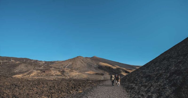 Catania: Etna Morning Excursion With Tasting and Pickup - Key Points