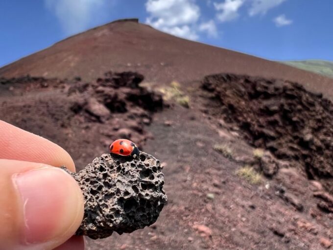 Catania: Etna Morning Excursion With Tasting and Pickup - Frequently Asked Questions