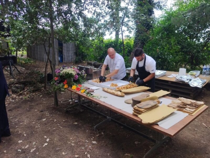 Catania: Guided Winery Tour & Cooking Class - What to Expect