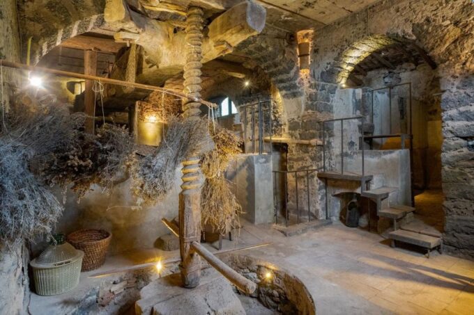 Catania: Guided Winery Tour & Cooking Class - Included in the Experience