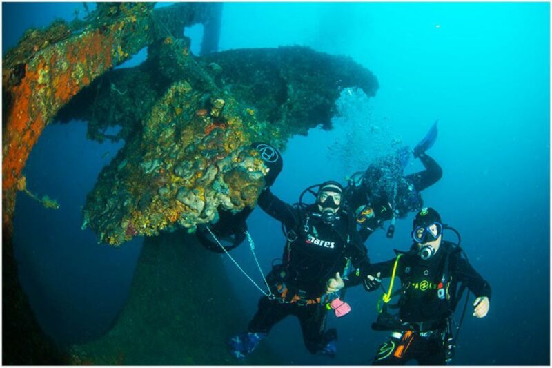 Catania: Gulf Scuba Diving Tour With Marine Biologist - Itinerary Details