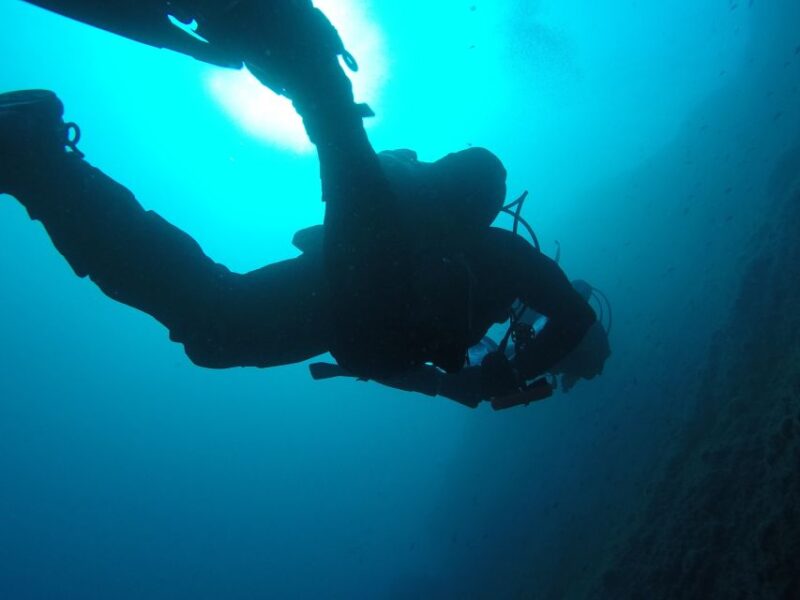 Catania: Gulf Scuba Diving Tour With Marine Biologist - Participant Suitability