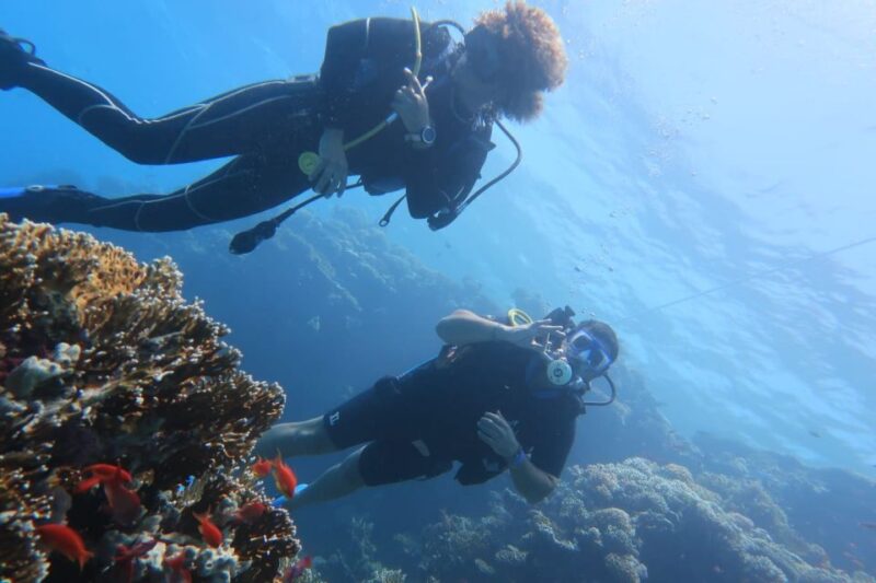 Catania: Gulf Scuba Diving Tour With Marine Biologist - Language Options